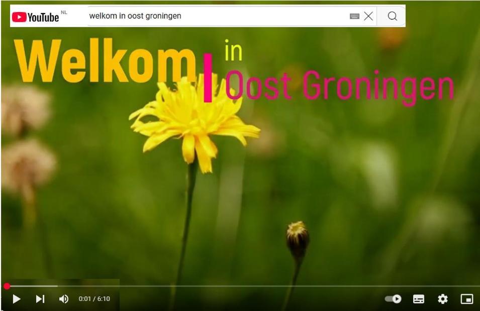 Jeltje Lejlighed Wildervank Eksteriør billede